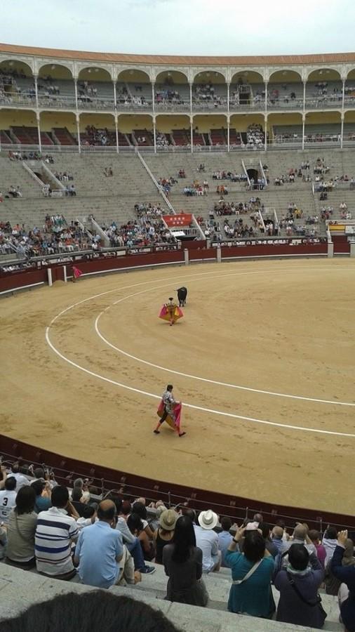 Some of the GATEway students decide to view the bullfight before deciding what they think of it.