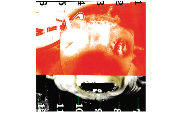Pixie's Head Carrier is a Headache - Pixies "Head Carrier Review"