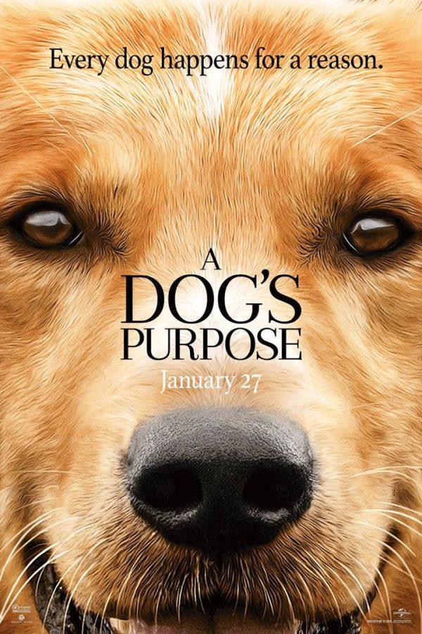 A+Dogs+Purpose