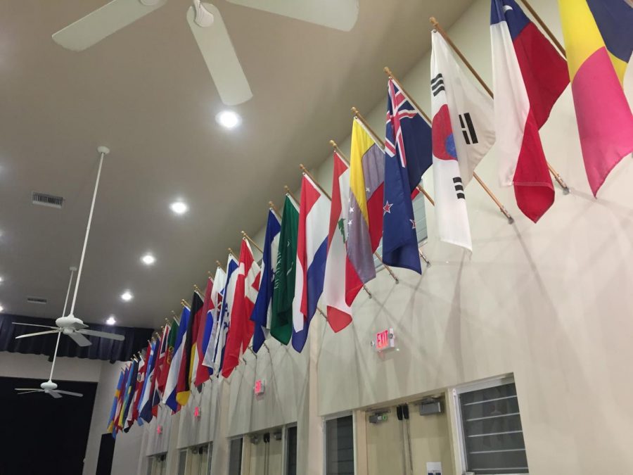 Diversity+at+MCDS+is+represented+by+flags+from+student+nations.
