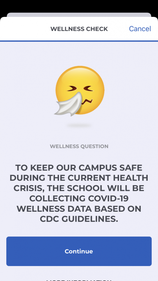 Wellness Check